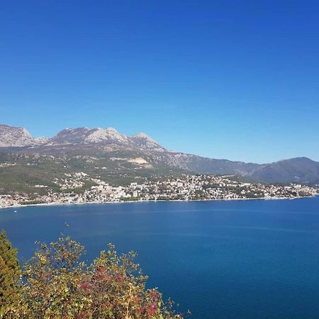 Apartment Miki Herceg Novi Kültér fotó